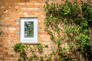 Photo 18- click for photo gallery